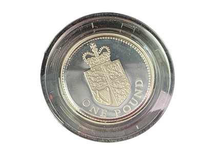 Lot 695 - ELIZABETH II SILVER PROOF £1 COIN SET