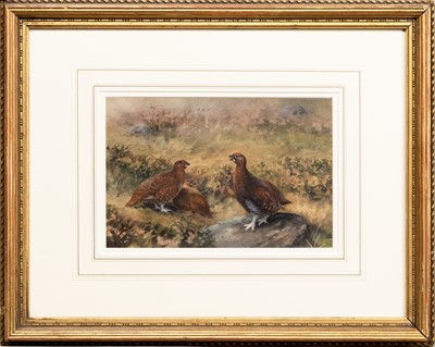 Lot 912 - CHARLES WHYMPER (BRITISH 1853 - 1941)