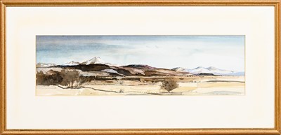 Lot 67 - * TOM HOVELL SHANKS RSW RGI PAI (SCOTTISH 1921 - 2020)