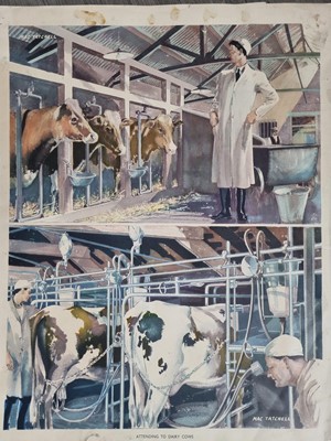 Lot 240 - FOLIO OF EDUCATIONAL LITHOGRAPHS