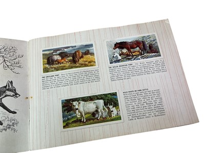 Lot 798 - COLLECTION OF STAMPS AND CIGARETTE CARDS