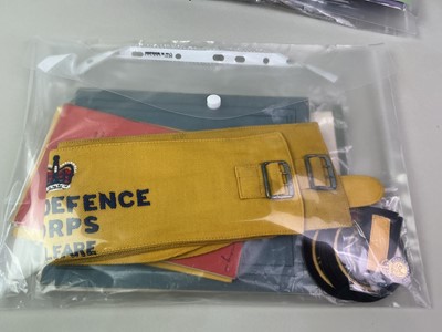 Lot 116 - COLLECTION OF INSIGNIA AND EPHEMERA