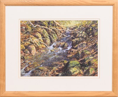 Lot 204 - * JOHN BATHGATE (SCOTTISH b. 1949)