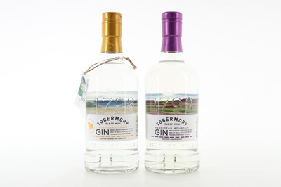 Lot 486 - TOBERMORY HEBRIDEAN COAST AND HEBRIDEAN MOUNTAIN
