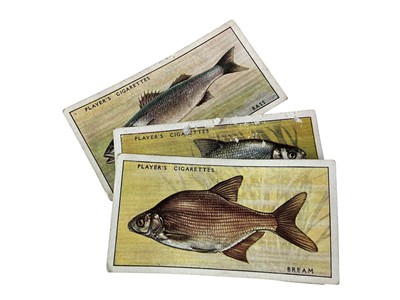 Lot 42 - COLLECTION OF CIGARETTE CARDS