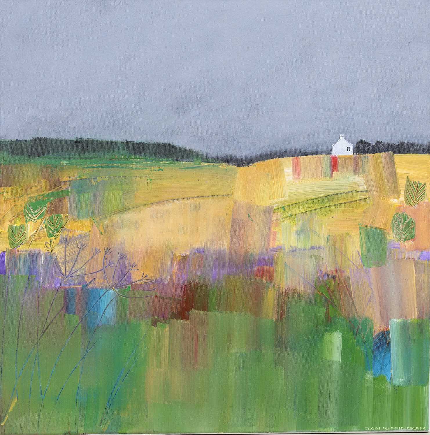 Lot 1 - * JAN RIPPINGHAM