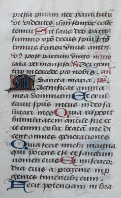 Lot 1352 - PARTLY ILLUMINATED LEAF