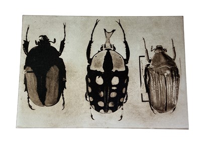 Lot 404 - * JANE RAVEN