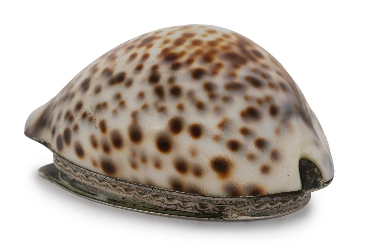 Lot 27 - SCOTTISH PROVINCIAL COWRIE SHELL SNUFF BOX