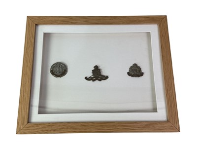 Lot 484 - TWO MILITARY BADGE DISPLAYS