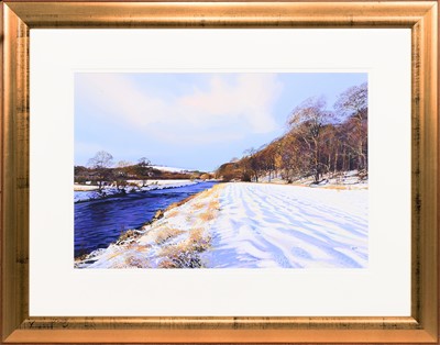 Lot 285 - * DANNY ROSS