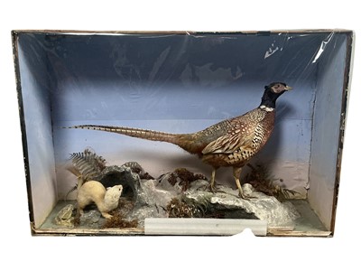 Lot 1811 - VICTORIAN ORNITHOLOGICAL DISPLAY