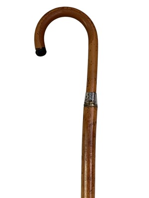 Lot 29 - GROUP OF WALKING STICKS