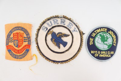 Lot 1266 - COLLECTION OF CIVIL BADGES AND INSIGNIA