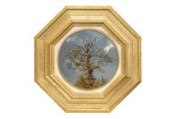 Lot 119 - * PETER NEWCOMBE, OAK TREE oil on canvas,...