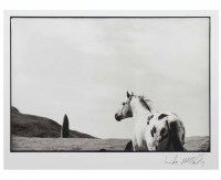 Lot 38 - * LINDA MCCARTNEY (1941 - 1998), THE STALLION...