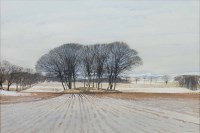 Lot 81 - * DONALD SHANNON, WINTER LANDSCAPE watercolour...