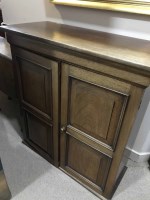 Lot 249 - MAHOGANY CUPBOARD