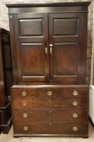 Lot 1399 - VICTORIAN STAINED PINE PANTRY CUPBOARD the...