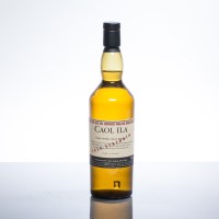 Lot 1270 - CAOL ILA JOHNNIE WALKER TRAINING BOTTLE Single...