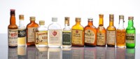 Lot 1518 - 12 ASSORTED BLENDED WHISKY AND BOURBON...