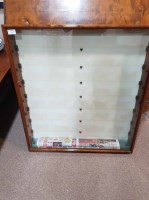 Lot 75 - PICTURE PRIDE WALL MOUNTING DISPLAY CABINET
