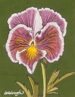 Lot 2355 - * FRANK COLCLOUGH, SCOTTISH HARBOUR, PANSY and...