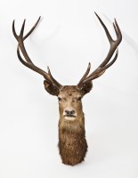 Lot 752 - LATE 19TH/EARLY 20TH CENTURY TWELVE POINT...