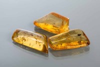 Lot 2147 - COLLECTION OF UNMOUNTED AMBER SPECIMENS with...