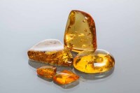 Lot 2207 - COLLECTION OF UNMOUNTED AMBER SPECIMENS with...