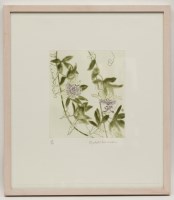 Lot 2371 - * DAME ELIZABETH BLACKADDER OBE RA RSA RSW RGI...