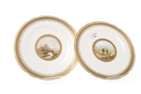 Lot 1246 - PAIR OF VICTORIAN MINTON CABINET PLATES each...
