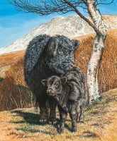 Lot 2081 - * KEITH BROCKIE, GALLOWAY AND CALF acrylic on...