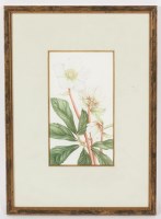 Lot 147 - * SIR KYFFIN WILLIAMS RA (BRITISH 1918 - 2006),...