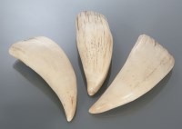 Lot 917 - THREE SPERM WHALE TEETH the largest 16cm long