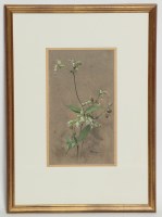 Lot 37 - EDWIN JOHN ALEXANDER RSA RSW RWS (SCOTTISH...