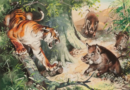 Lot 1975 - AFTER DC THOMSON SPARKY COMICS, TIGER AND WILD...