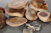 Lot 474 - COLLECTION OF CUT AND POLISHED PARASITIC AND...