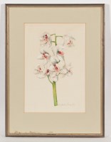 Lot 1500 - * JOHN MATHISON ORCHIDS watercolour and pencil...