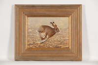 Lot 1747 - * NICHOLAS MANNING, MOUNTAIN HARE oil on board,...