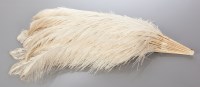 Lot 321 - 19TH CENTURY WHITE OSTRICH AND IVORY FAN with...