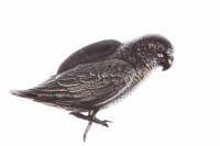 Lot 401 - EDWARDIAN NOVELTY PARROT CAMEL PIN CUSHION...