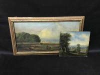Lot 135 - TWO 19TH CENTURY OIL ON BOARD LANDSCAPE PAINTINGS