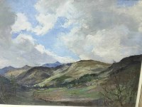 Lot 250 - TWO OIL PAINTED LANDSCAPES BY NAN LIVINGSTON...