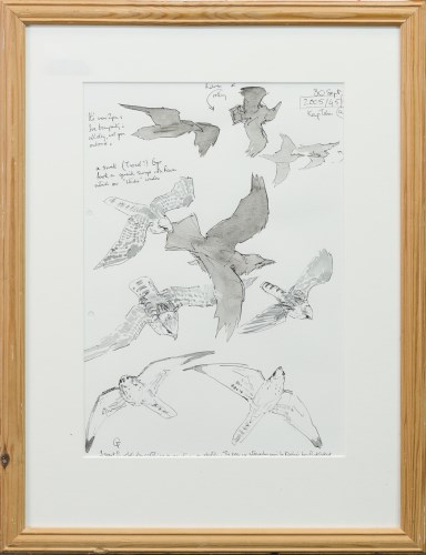 Lot 95 - * CHRIS AND VIKKY FURSE, SEABIRDS pen and wash...