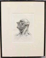 Lot 2279 - * PETER HOWSON OBE, CENTURION etching with...